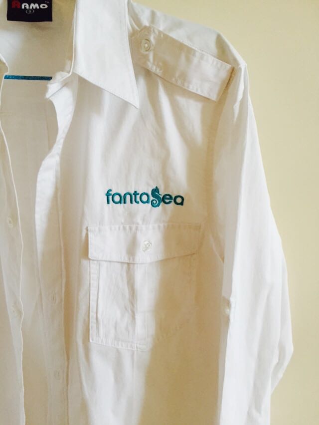 Corporate Business shirts with logo for Fantasea cruising – Sydney