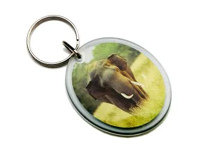 Acrylic Keyring_1