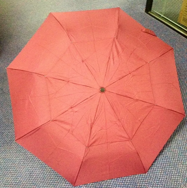 Auto Open Folding Umbrella_3