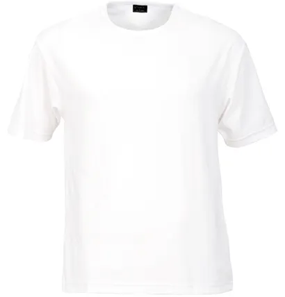 Mens Short Sleeved Solar Lite T-shirt_5