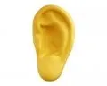 Stress Ear_1
