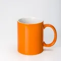 Toucan_1
