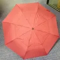 Auto Open Folding Umbrella_3
