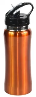 STAINLESS STEEL DRINK BOTTLE_1