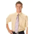 Classic Mini (check) Houndstooth B. Shirts s_1