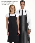 Bib Chalk Stripe2 Colours_2